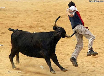 look-at-the-bull-his-horn-is-up-the-spanish-guys-[Deleted]-serves-him-right.jpg